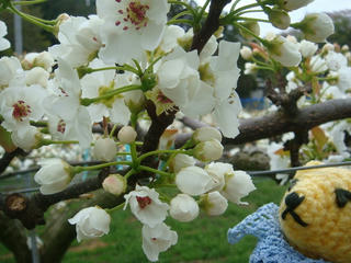 0409DSC00499.jpg