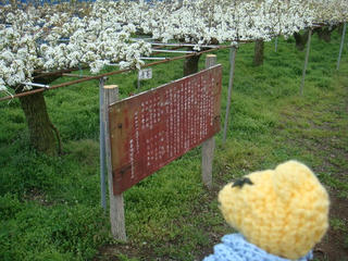 0409-1DSC00500.jpg