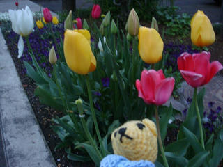 0413DSC00541.jpg