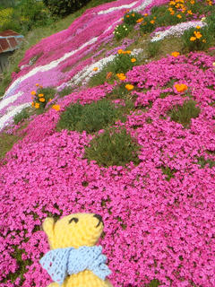 0415DSC09556.jpg