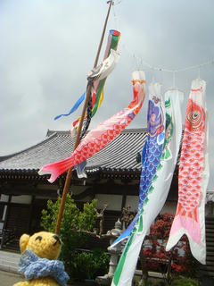 0503DSC09723.jpg