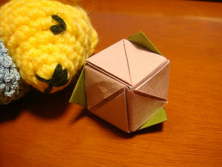 0510DSC00023.jpg