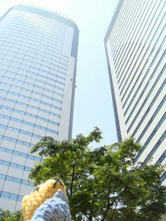 0515DSC00034.jpg