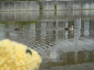 0515DSC00033.jpg