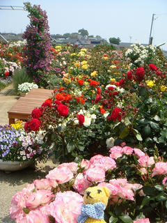 0522DSC09906.jpg