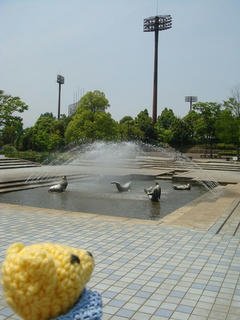 0523DSC00050.jpg