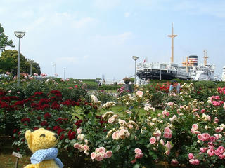 0526DSC00023.jpg