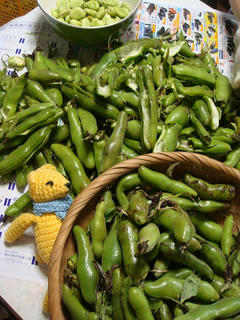 0528DSC09928.jpg