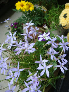 0531DSC00226.jpg