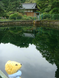 0531DSC00263.jpg