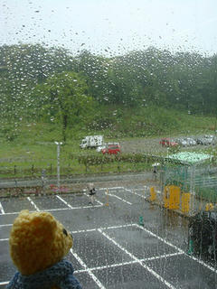 0603DSC00303.jpg