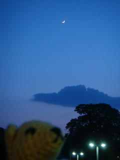 0606DSC00438.jpg