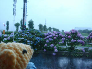 0622DSC01428.jpg