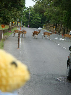 0625DSC00877.jpg