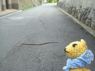 0625-1DSC00697.jpg