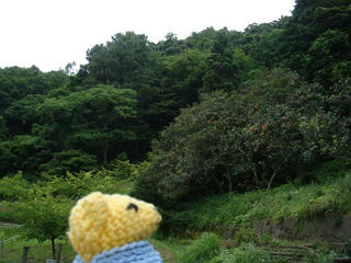 0628DSC01443.jpg