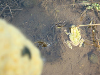 0708DSC00450.jpg