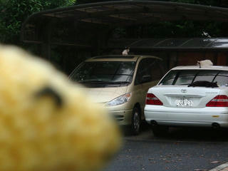 0712DSC01490.jpg