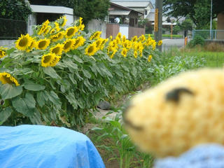 0716DSC01571.jpg