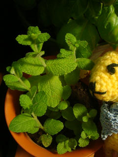 0721DSC01682.jpg