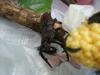 0727DSC01736.jpg