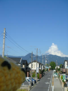 0807DSC01958.jpg