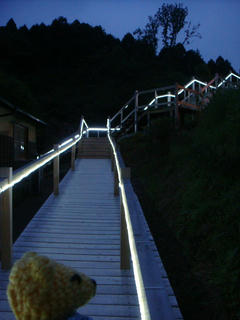 0808DSC09910.jpg