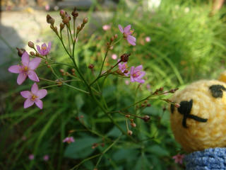 0814DSC09973.jpg