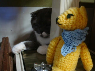 0816DSC00007.jpg