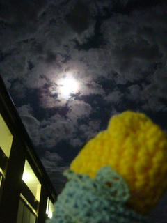 0817DSC00001.jpg