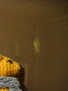 0822DSC00021.jpg