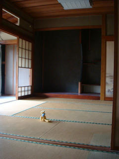0825-1DSC00130.jpg