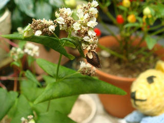 0913DSC00382.jpg