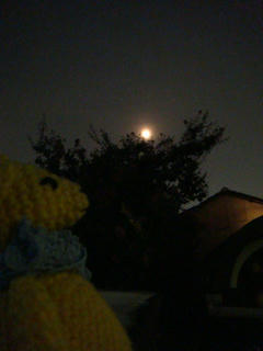 0914DSC00387.jpg