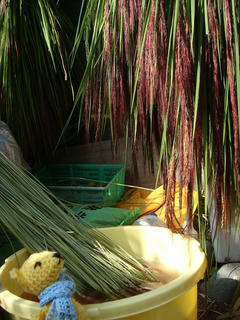0917DSC00447.jpg