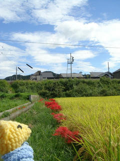 0920DSC00463.jpg