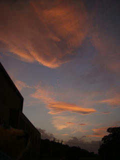0925DSC00533.jpg