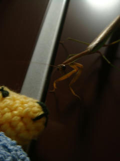 1007DSC00587.jpg