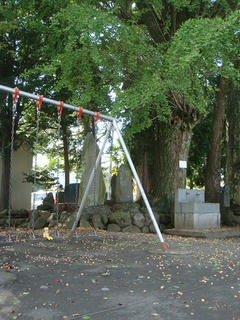 1012DSC00600.jpg