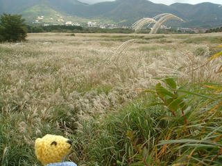 1016DSC00626.jpg