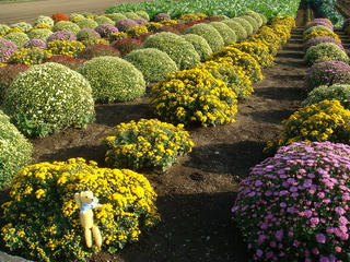 1029DSC00930.jpg