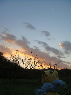 1101DSC00977.jpg