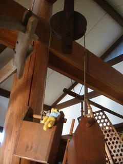 1103DSC00934.jpg