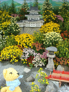 1104DSC01029.jpg