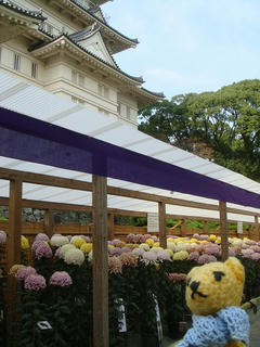 1104-2DSC01021.jpg