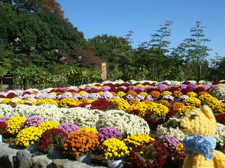 1113-4DSC01149.jpg