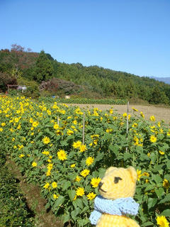 1113-3DSC01158.jpg