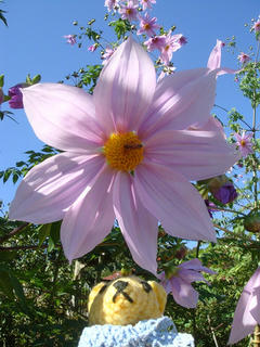 1125DSC01165.jpg