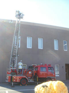 1126DSC01429.jpg