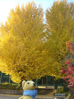 1127DSC01435.jpg